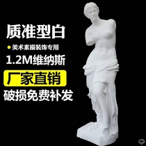 1 2 Mi Venus full-body plaster like wedding decoration painting room European statue art teaching aids shop ornaments