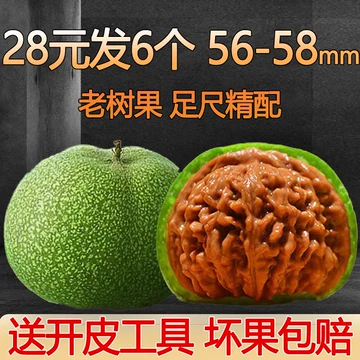 大粗筋核桃-大粗筋核桃促销价格、大粗筋核桃品牌- 淘宝