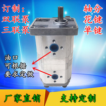 Hydraulic Gear Pump Double Gear Pump CBN-EF325 306 Various Specifications Spraying Truck Customized