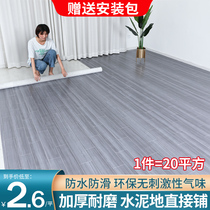 Thickened carpet Bedroom living room large area full paved household plastic waterproof and moisture-proof leave-in floor mat Girl ins wind