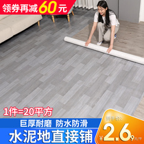 Carpet living room bedroom thickened large area home full-spread waterproof non-slip PVC leather girl ins wind thickened floor mat