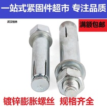 Thickened expansion screw galvanized expansion Iron expansion bolt extension screw M24 * 200-300