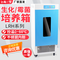 Shanghai Yiheng LRH-70 lrh-150 250 biochemical incubator Microbial constant temperature and humidity seed incubator
