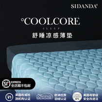 SIDANDA2021 Summer cool pad washable Simmons mat mat Breathable thin mattress cold feeling