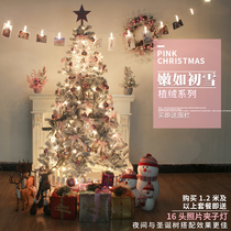 Christmas Christmas Tree package 1 5m 1 8m 2 1m 2 4m encrypted flocking snow falling Christmas scene decoration