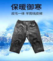 Sheep-cut leather wool one leather pants leather men and women sheep fur high-waisted cotton pants pants inner winter middle-aged and elderly