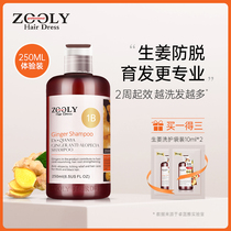 Zhuo Lanya ginger shampoo Anti-hair loss shampoo Anti-dandruff anti-itching oil control fluffy hair hair growth hair density men and women