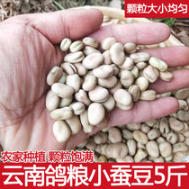 Yunnan farmhouse small bean feed pigeons 5kg fresh broad bean bulk pigeon grain small broad bean feed Miscellaneous grain