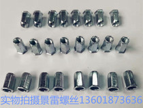 Small side through hole full hexagon rivet nut Environmental protection galvanized countersunk head iron galvanized rivet rivet nut M4 M5M6