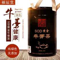 Fuyuntang SOD Golden burdock tea 3 barrels of casual gift (the same paragraph in the live room)