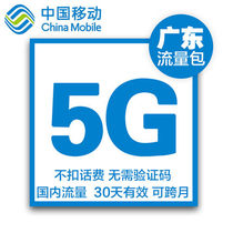  Valid for 30 days 5G Guangdong mobile traffic recharge 2 3 4G national general traffic refueling package 10