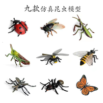 Young children Emulation Insect Models Animal Toys Bee Butterfly Locusts Mantis Seven Stars Ladybug Gifts