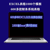 Excel1000 sets of financial statement form templates Financial professional templates Invoicing cost accounting etc A021