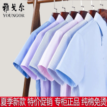 Youngor shirt mens short-sleeved summer mens loose high-end mulberry silk free ironing shirt thin special discount clearance
