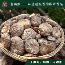 Linden Wood Small Mushrooms Special Class Imitation Wild Dry Goods No Sulphur Winter Mushrooms Mushrooms Flower Mushrooms 250 gr