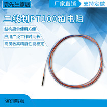 Pipe diameter 1 5MM 2MM 3MM ultra-small ultra-short volume small PT100 platinum resistance two-wire A- grade