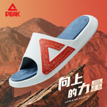 Peak style slippers men's 2021 winter new basketball second generation tai chi wear fashion non-slip sports slippers