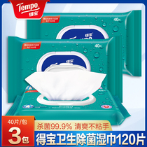 Tempo Depot Disinfection and Sterilization Sanitary Cleaning Wipes Exhibit Family Pack Large Specification Sterilization and Disinfection Wipes