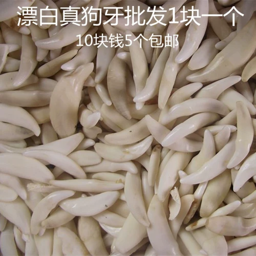 Настоящая собачья стоматолога для животных ожерелье Один за другим, мужская и женская переходная переходная кость можно использовать для бесплатных отверстий