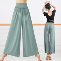 Autumn new modern dance dance pants female classical practice suit straight wide leg shape black dance pants loose