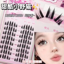 Sweet little wildcat fake eyelashes ~ ultrafine infarction single cluster cat ear eyelash dense natural purity lazy trilogy trilogy