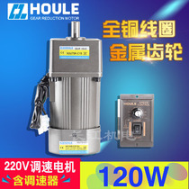 HOULE Haoli 120W speed ratio 3K-600K gear reduction motor single-phase 220V AC speed regulation motor