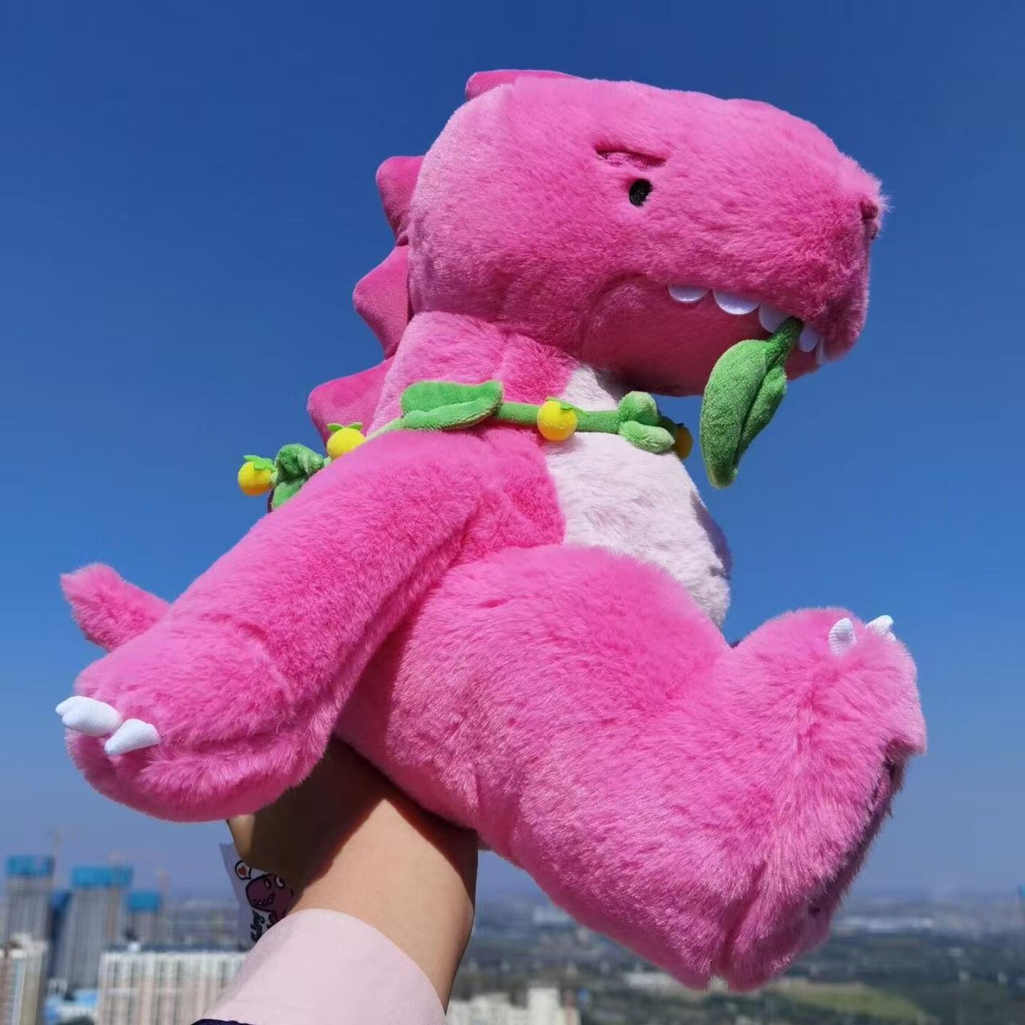 龙棉-龙棉促销价格、龙棉品牌- 淘宝, image size:1440x1440