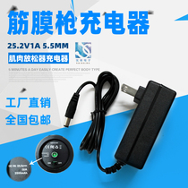 Fascia gun charger 24V8 4V12 6V16 8V25 2V charger electric muscle relaxer charging cable