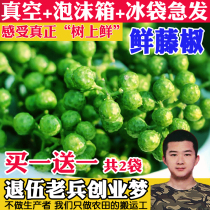 Fresh rattan pepper 700g fresh blue and white pepper flower pepper Chongqing Jiangjin vacuum fresh pepper raw hemp pepper rattan pepper fish Sichuan