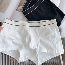 Japan 3 pack ~ boys pure cotton comfortable and simple pure color black and white underpants flat antibacterial breathable