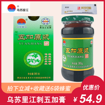 Ussuri River Wujia Puree soothes sleep Wild Acanthopanax Cream Tea Seed skin Concentrate 365g