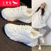 Red Dragonfly Daddy shoes Womens shoes 2021 new autumn and winter Joker casual small white explosive plus velvet sneakers