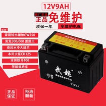 Motorcycle battery YTX9-BS Huanglong 600 300 Guangyang 250 Benali GW25012V universal dry battery
