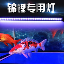 Three-base color led fish tank lamp waterproof and color-enhancing aquarium lighting Koi Lanshou special lamp diving