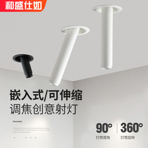 And Shengshi Ruo embedded long pole cob spotlight can swing telescopic focus restaurant bar painting background wall light