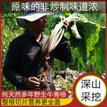 Pure wild burdock root tea dry goods genuine old father deep mountain mining direct selling Chinese herbal medicine Special 500g