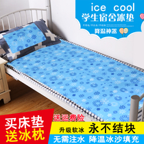 Single double ice mat Student dormitory ice mattress Gel mat Water bed cooling cushion Summer season cooling artifact