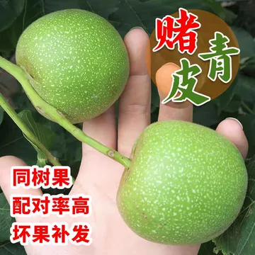 蛤蟆头文玩核桃-蛤蟆头文玩核桃促销价格、蛤蟆头文玩核桃品牌- 淘宝