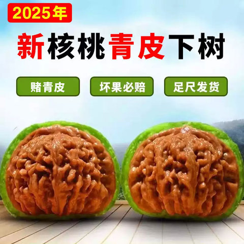 文玩堂：闷尖白獅子頭（47mm） 闷尖白狮子头精选和闷尖白狮子头品牌价格与图片-淘宝商品网