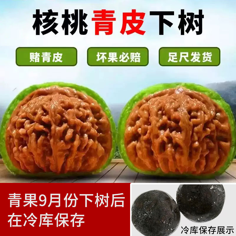 老树皮小官帽核桃-老树皮小官帽核桃促销价格、老树皮小官帽核桃品牌- 淘宝