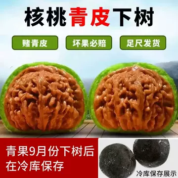 高抛白狮子核桃-高抛白狮子核桃促销价格、高抛白狮子核桃品牌- 淘宝