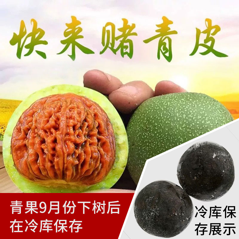 文玩核桃 盤龍虎頭 盘龙虎头文玩核桃-盘龙虎头文玩核桃促销价格、盘龙虎头文玩核桃品牌- 淘宝