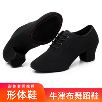 Adult shape shoes teacher shoes female Oxford cloth soft soles Latin dance shoes outdoor dance square dance shoes ballet shoes