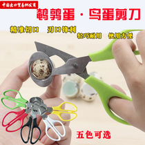 Quail egg scissors egg opener whisk Quail egg opener egg cutter egg cutter bird egg scissors egg shell opener egg shell opener egg shell opener egg shell opener egg shell opener egg shell opener Egg shell opener egg shell opener