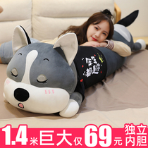 Cute Haschic Plush Toy Ultra Soft Paparazzi Girl Bed Sleeping Clip Leg Hug Pillow Big Cloth Doll Doll
