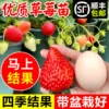 Товары от 玫达旗舰店