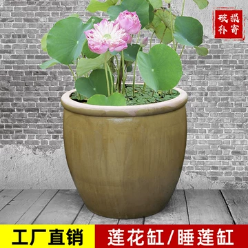 养荷花水缸-养荷花水缸促销价格、养荷花水缸品牌- 淘宝