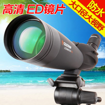 Star Trump distant 22-66x100AED bird-watching mirror Telescope target-viewing mirror High-power zoom HD landscape-viewing target