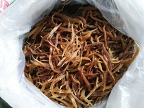 2022 Zhengzong Primrose Sky asparagus Winter tomorrow winter catch-up Snake Peeled Dry Goods