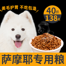 Sammoyer dog special dog food large canine Samo small young dog adult dog universal 50 bright white hair tonic calcium 40 catty